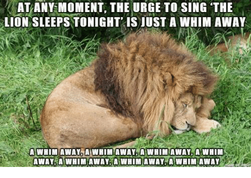 atany-moment-the-urge-to-sing-the-lion-sleeps-tonight-8891135